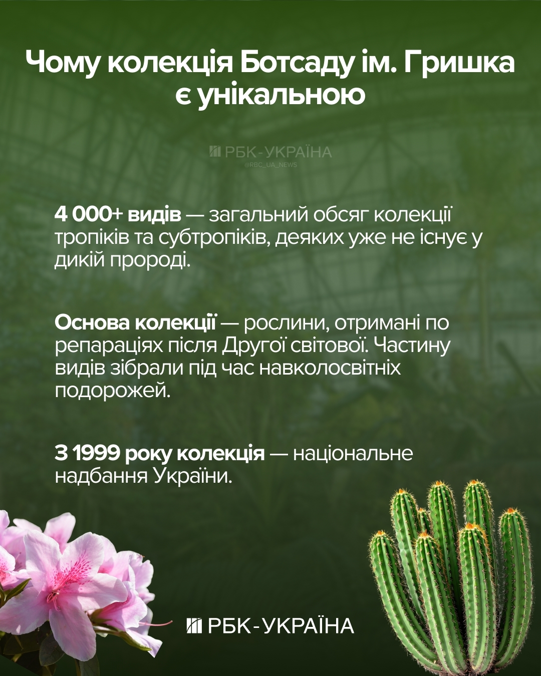 Будет ли цвести сирень и азалии? В Ботсаду Гришко рассказали о последствиях критической зимы